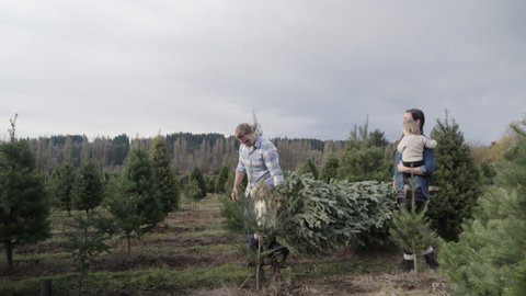 Wide shot of family carrying a pine tree at a tree farm