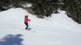 Shot in movement side view woman skier, in red ski jacket. Carving down the ski slope in the mountain resort among the pine forest. Slow motion, 4k, 3840x2160