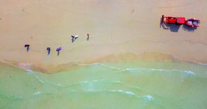 AERIAL 4K: Overhead static view of red tractor with people cleaning a tropical beach from garbage and spreading white sand while driving  at clear ocean water front 