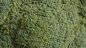 Super food broccoli Brassica oleracea details 4K panning footage