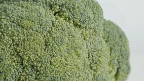 Tilting over Brassica oleracea broccoli floret close-up 4K footage