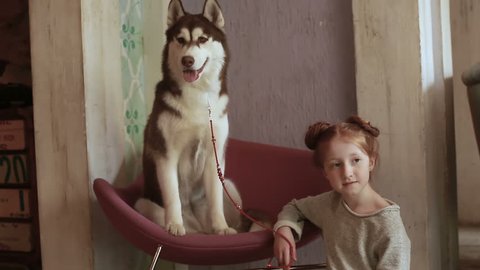 Charming little girl with red hair in a cute dress posing on a photo with a beautiful dog of the Siberian Husky