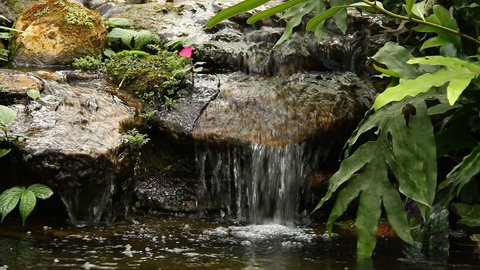 Pond and waterfall in the garden, chiangmai Thailand 