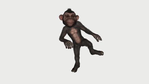55 Jumping Monkey Cartoon Stock Video Footage - 4K and HD Video Clips | Shutterstock 55 Jumping Monkey Cartoon Stock Video Footage - 4K and HD Video Clips | Shutterstock