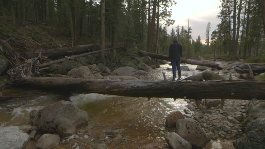 A young woman stands in awe of the surrounding forest as she stand on top of a fallen log over a small river.