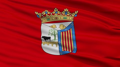 Salamanca closeup flag, city of Spain, realistic animation seamless loop - 10 seconds long