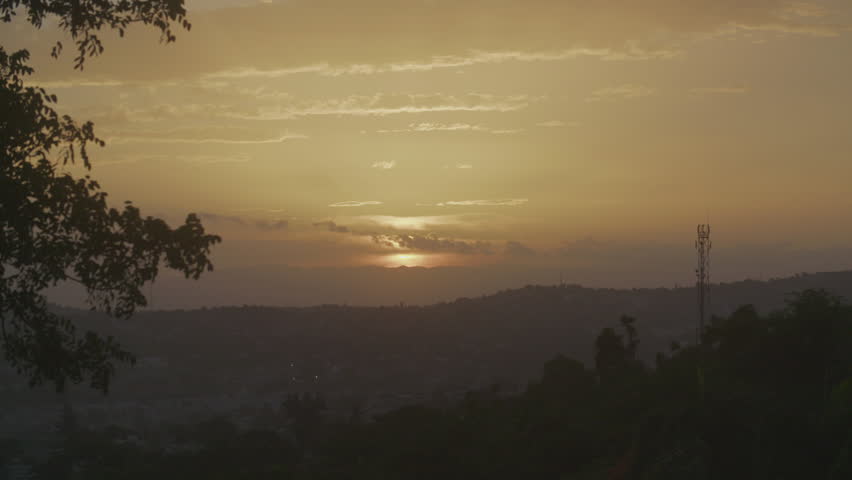 Sunrise Over Looking Port-au-Prince With Tree in Foreground
