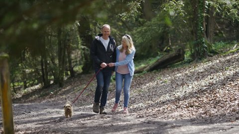 Middle aged couple walking their dog in the woods