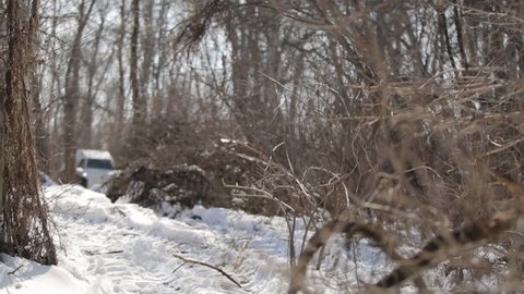 Ukraine, Dnepropetrovsk. February 2018. The self-made all-terrain vehicle is off-road. The off-road vehicle crosses an impassable road section. The ATV is breaking the trees.