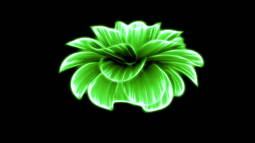 opening long blooming green neon flower time-lapse 3d animation isolated on background new quality beautiful holiday natural floral retro vintage cool nice 4k video footage Royalty-Free Stock Footage #1010194178
