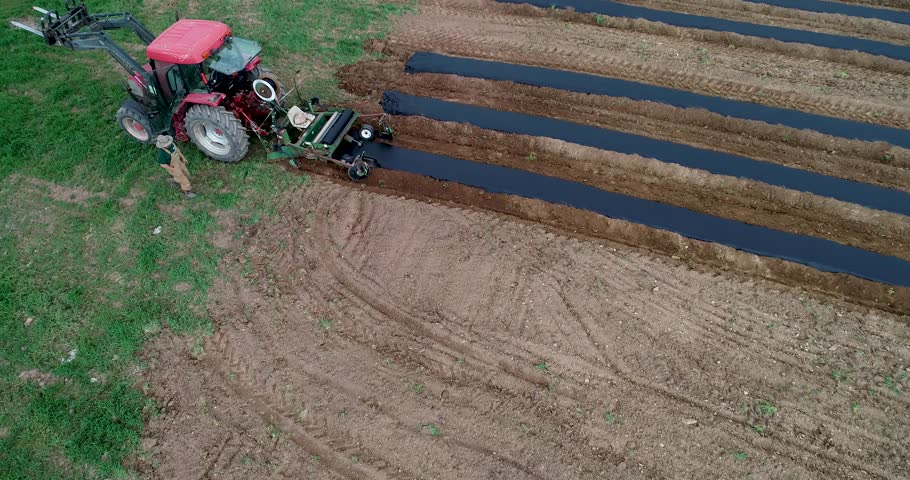 Aerial camera pitches down as farmer gets out of tractor and cuts the plastic at the end of a run of plastic mulch.