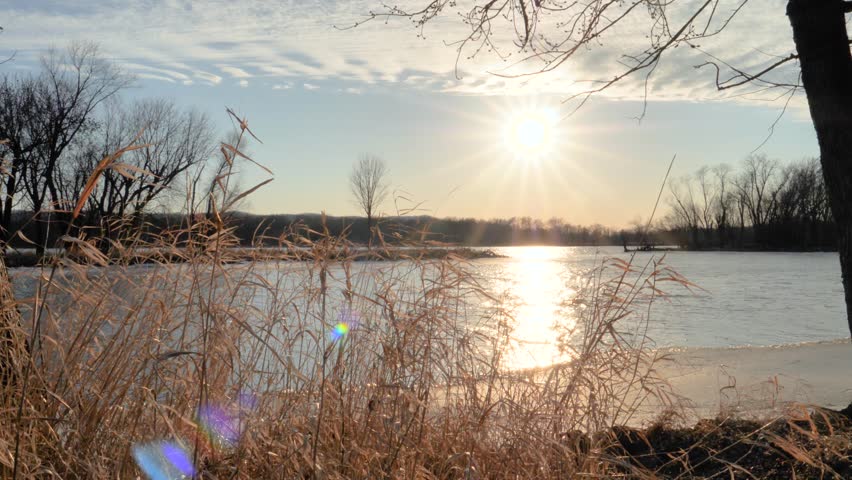 Beautiful sun setting over the Mississippi River while camera tracks from left to right behind some natural reed plants