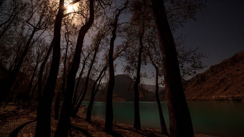 Moon light through trees. Time lapse of moving Moon and stars on mountain lake.