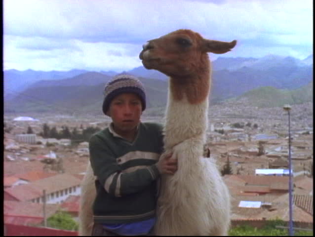 PERU, 1998, The Andes, boy with llama, medium zoom in close up