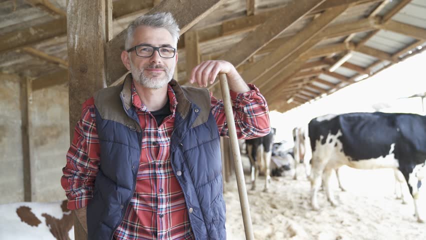 Farmer cleaning cowshed