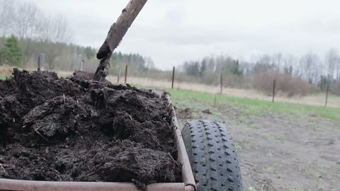 Man spreads organic fertilizer on his own farm. soil fertilizer. Close up