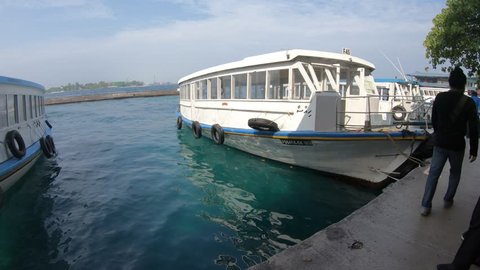 Male Maldives March 07 Stock Footage Video 100 Royalty Free 1010273363 Shutterstock