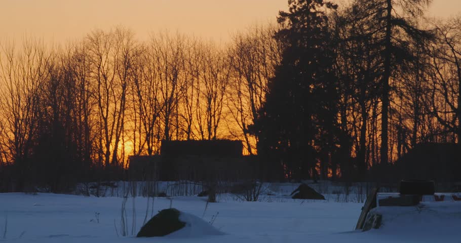hot winter sunset in the forest