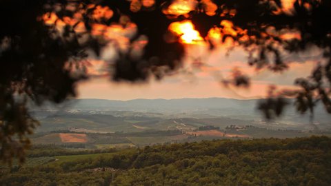 Timelapse of tuscan hills of Chianti in Summer at sunset, framed by olive trees and leaves, in Castellina in Chianti, Tuscany, Italy.