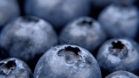 Blueberries. Macro trucking shot. 4K resolution