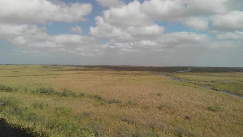 Aerial view of Everglades National park, Florida.