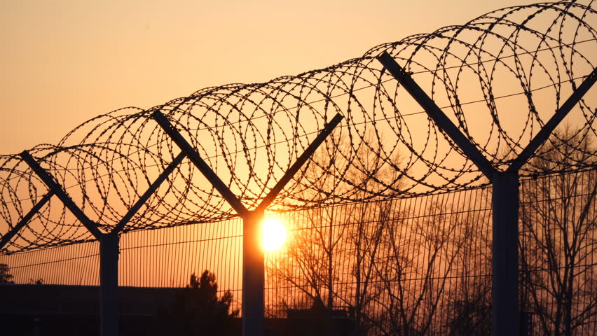 Prison barbed wire fence at sunset. Bright sun and trees silhouette freedom 4k Royalty-Free Stock Footage #1010321201