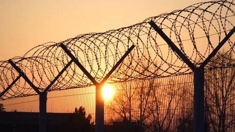 Prison barbed wire fence at sunset. Bright sun and trees silhouette freedom 4k