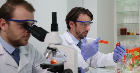 Food Biologists Men Testing in Laboratory Bio Tomato and Microscope Laboratory