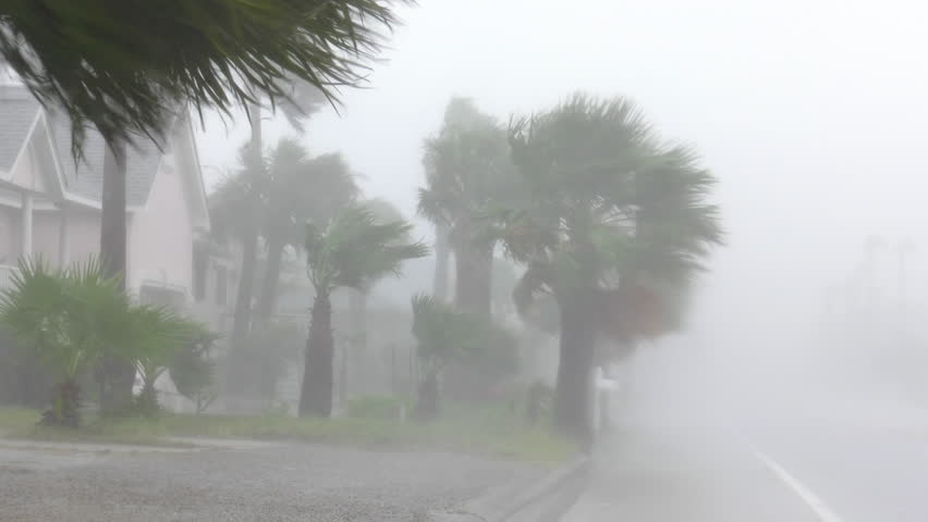 Rockport, TX/US - August 26, 2017 [Major Hurricane Harvey making landfall in Rockport, Texas. Hurricane winds, storm surge flooding along the coastal homes. Blowing palm trees and rain.]