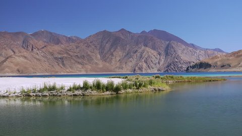 Picturesque scenery with shore of Pangong Tso lake covered with plants or herbs and Himalaya mountain range. Spectacular view of astonishing wild nature of Himalayan highlands. Camera stays still.