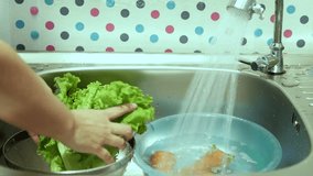 Lady wash fresh vegetables with spray water at home kitchen - home food preparing concept