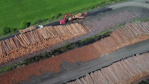 Lumber mill operations with logs being processed and sorted