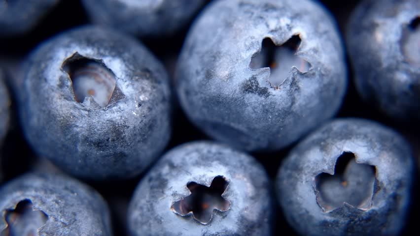Detail of Blueberries. Macro trucking shot. 4K resolution top view. Royalty-Free Stock Footage #1010366258