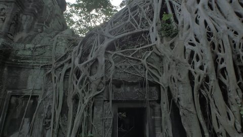 Ta Phrom Temple Dolly back for Color grading