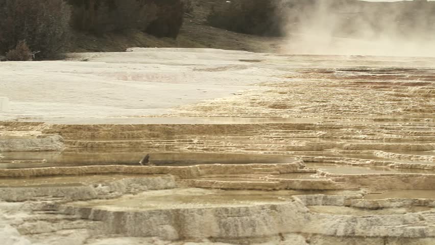 Mammoth Hot Springs - Yellowstone National Park
