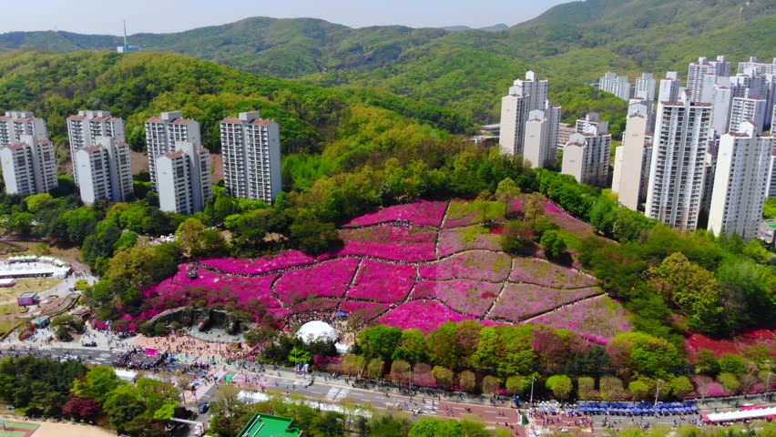  Aerial view of Flower Festival in Surisan city,South Korea.
