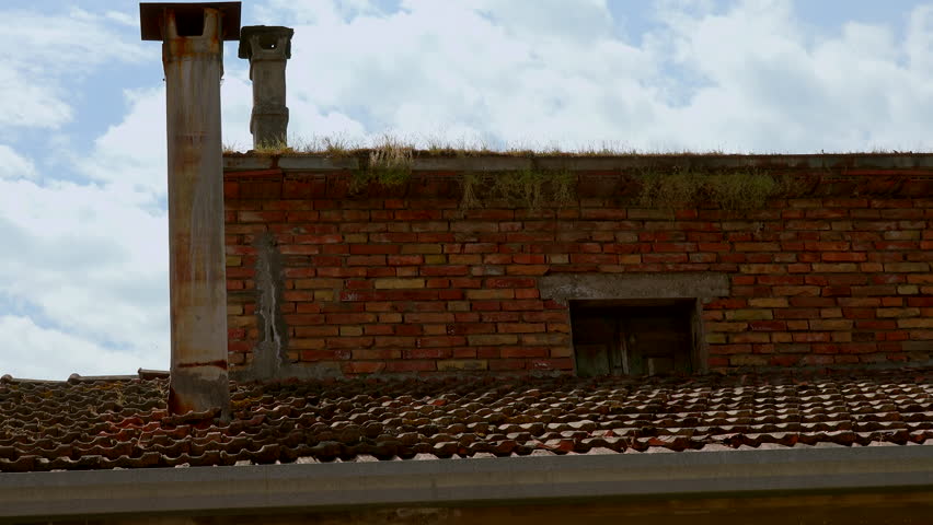 weeds from damaged rusty gutters on old building