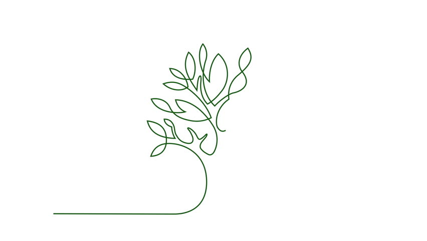 Simple Animation Continuous Line Drawing Stock Footage Video 100 Royalty Free 1010414126 Shutterstock