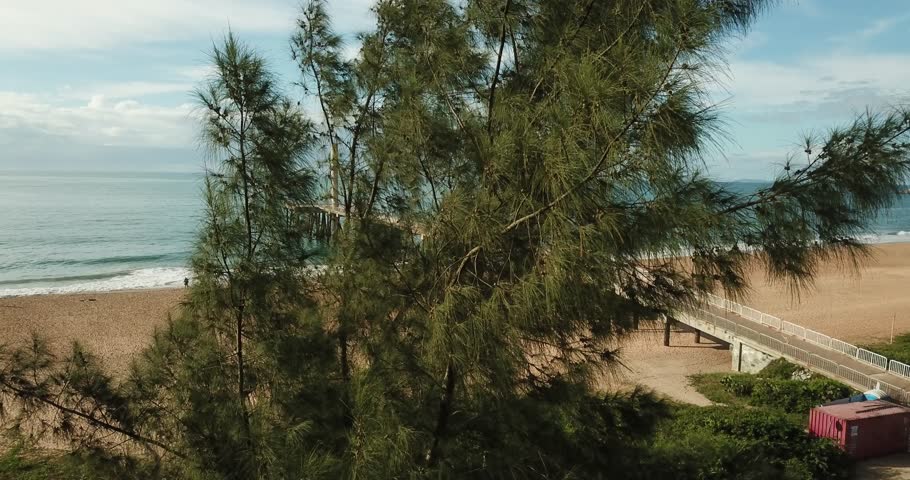 beack coast paradise brazilian