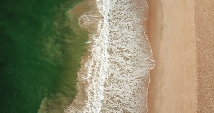 beack coast paradise brazilian