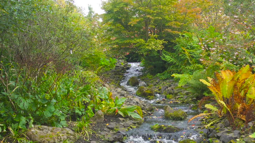 Beautiful Waterfall in Royal Botanic Garden in Edinburgh, Scotland Royalty-Free Stock Footage #1010440556