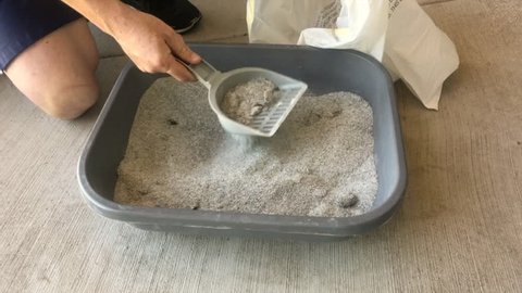 Cleaning cat kitty litter box