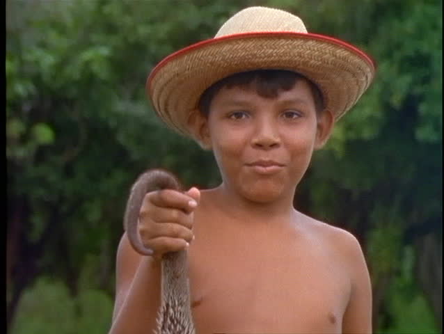 BRAZIL, 1998, Amazon Jungle, young indigenous Brazilian boy, close up of face, smiling