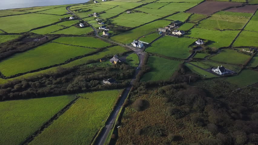 4k Aerial Drone of Lush Green Fields and Roads In Dingle, Ireland on Main Road trip Route on the Peninsula. Property Borders and Small Houses on Irish Farmland.