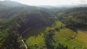 Aerial video in an amazing landscape, with drone,Fields and mountains.thailand