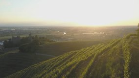 Drone flies over vine and castle. Sunset in background. RAW edited video.