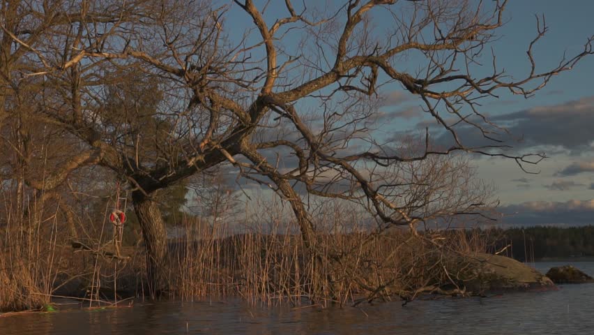 Slider shot of spectacular sky and trees by the lake during sunset