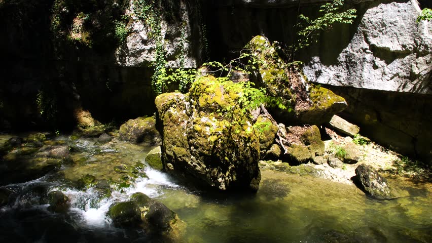 beautiful refreshing and relaxing creek runs through the forest