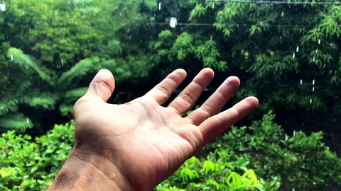 Outstretched hand catching raindrops in slow motion against a lush green jungle rainforest background