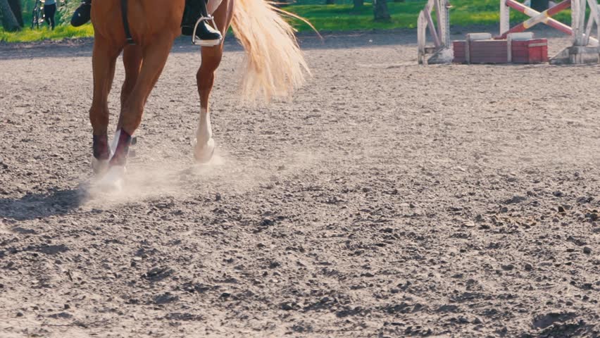Foot of horse running on the sand at the training area, close-up of legs of stallion galloping on the ground, slow motion